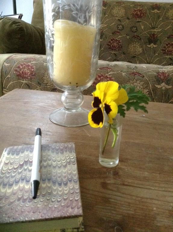 Haddock Hill House Bed & Breakfast Old Chatham Ruang foto